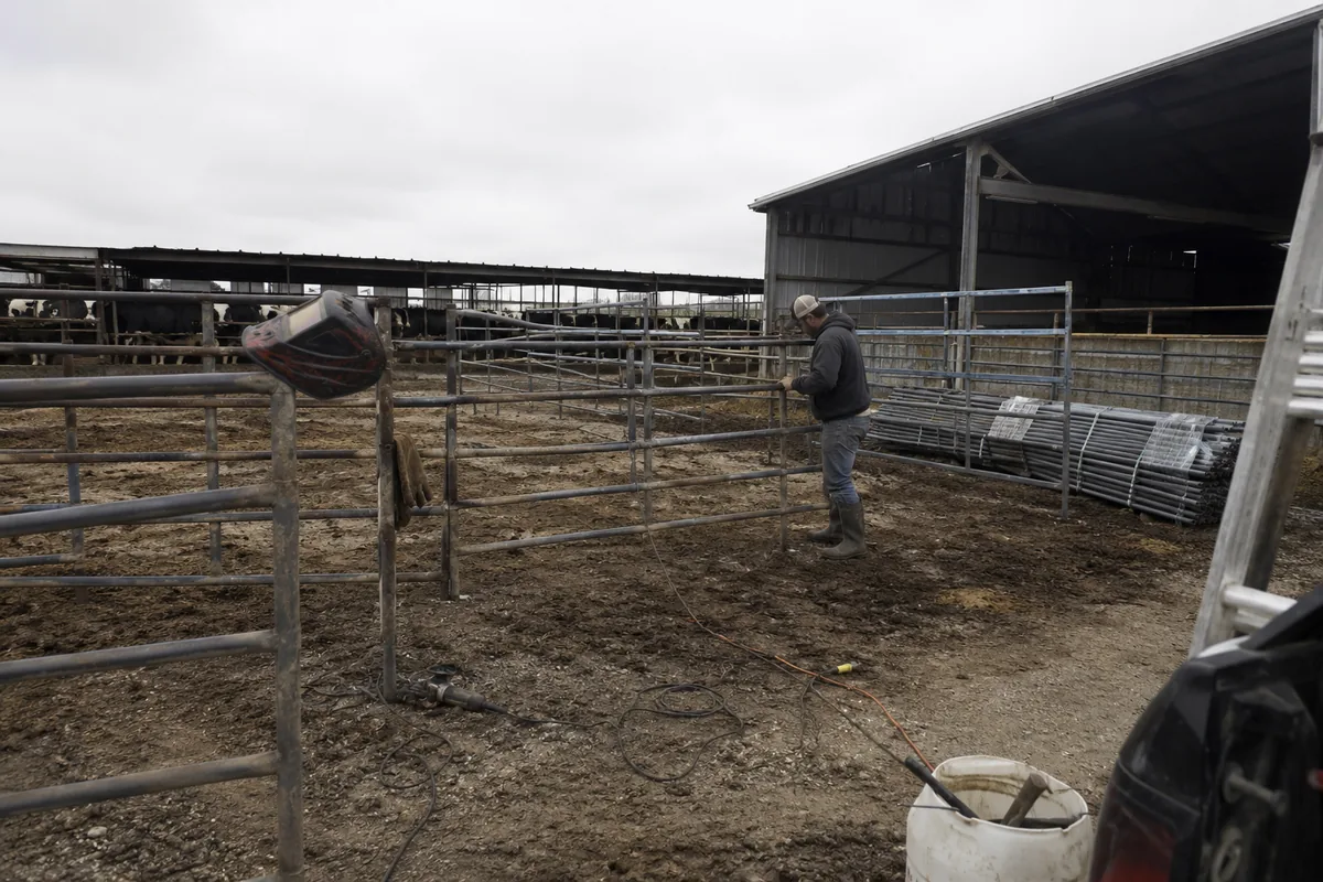 Fence installation on a property in Wendell, ID